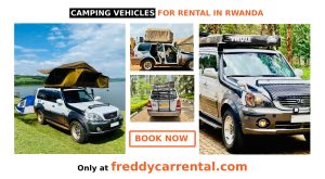 4x4 self drive rwanda, 4x4 self drive adventure, 4x4 rentals rwanda, rwanda 4x4 cars for hire, 4x4 car hire rwanda, 4x4 car hire kigali, kigali 4x4 cars for rent, rent a 4x4 car in kigali, 4x4 adventures in rwanda