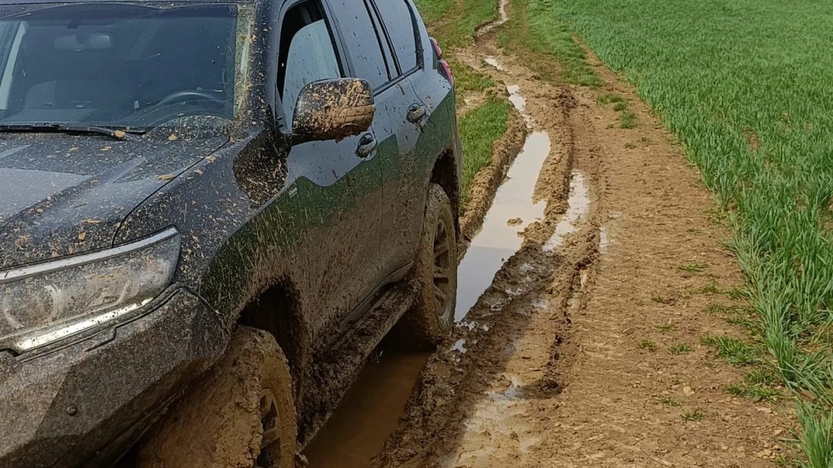 Budget-Friendly SUV Car Rental in Rwanda