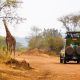 Self Drive Safari in Rwanda