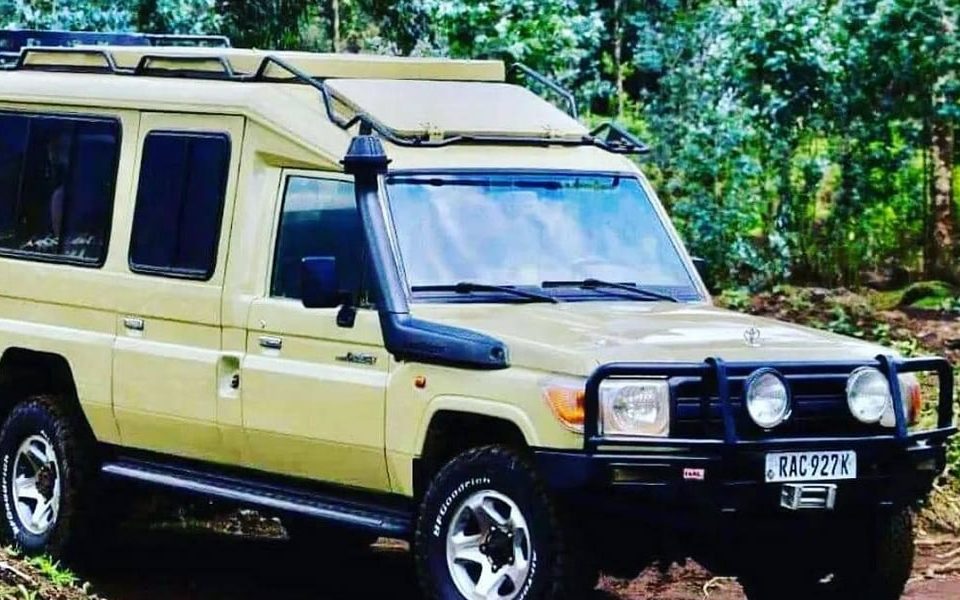 Luxury Safari Rwanda