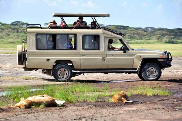 Best Safari in Rwanda 