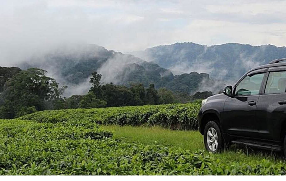 Visit Rwanda