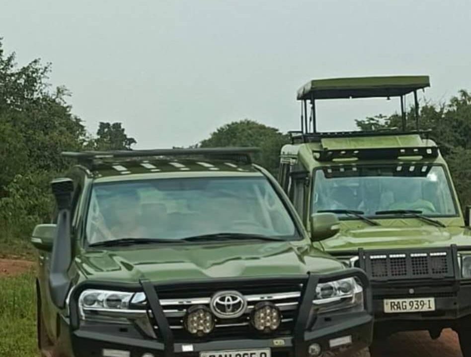 Safari Car Rental in Rwanda