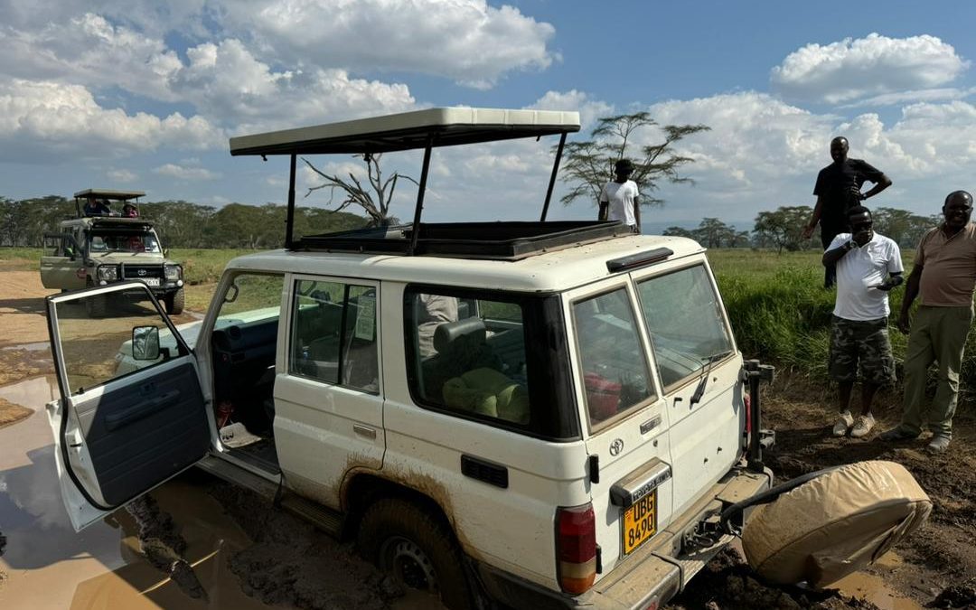 Self-Drive Rwanda & Uganda