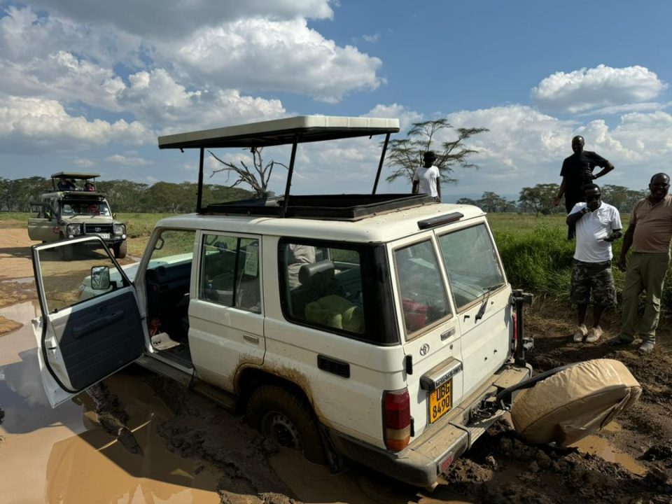 Self-Drive Rwanda & Uganda