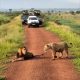 Safari Car Hire Rwanda