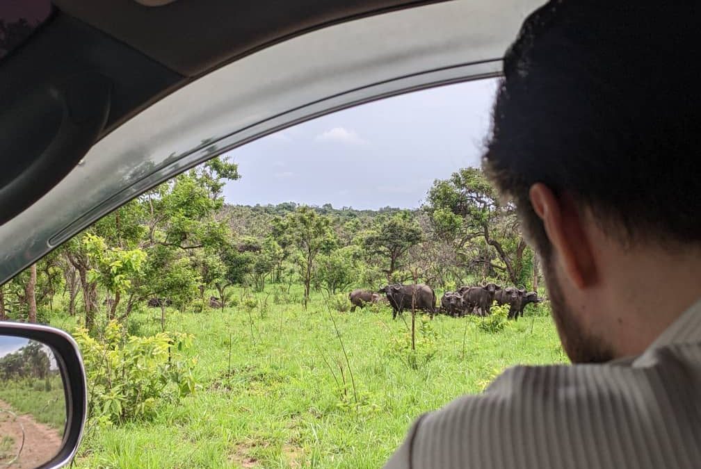 Car Hire for Rwanda Vacations