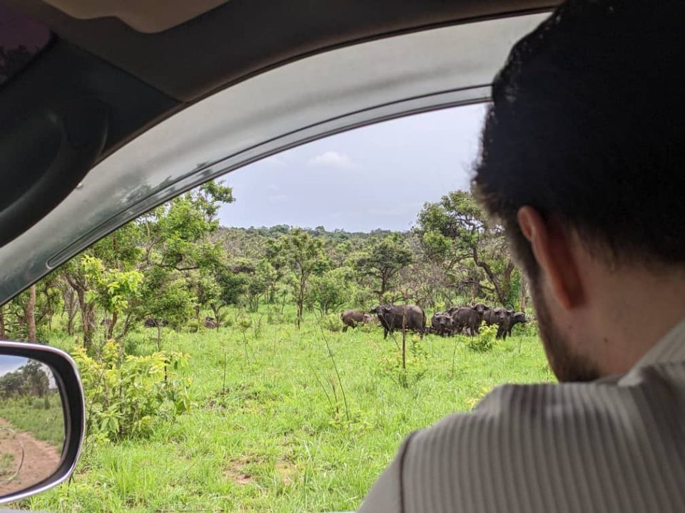 Car Hire for Rwanda Vacations