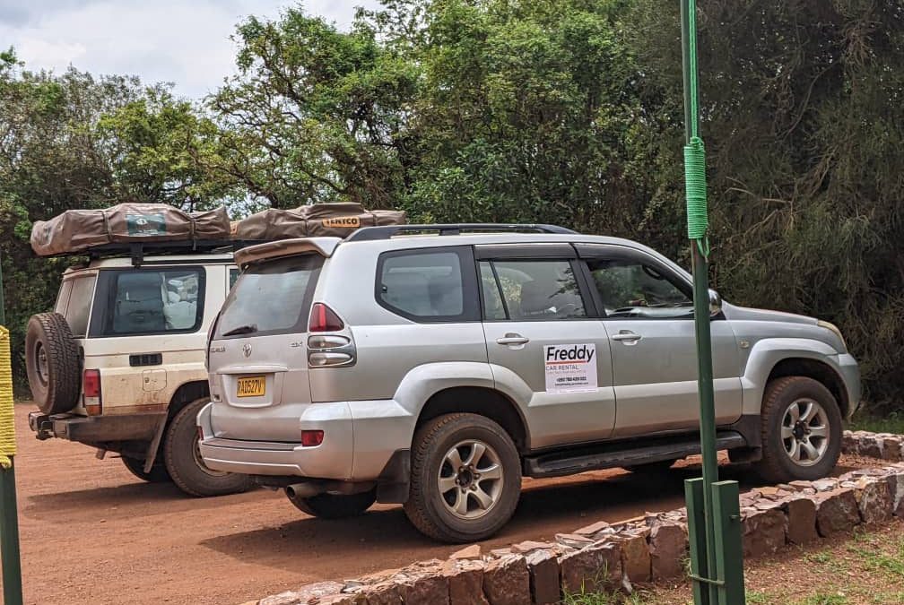 Self drive in Akagera National Park