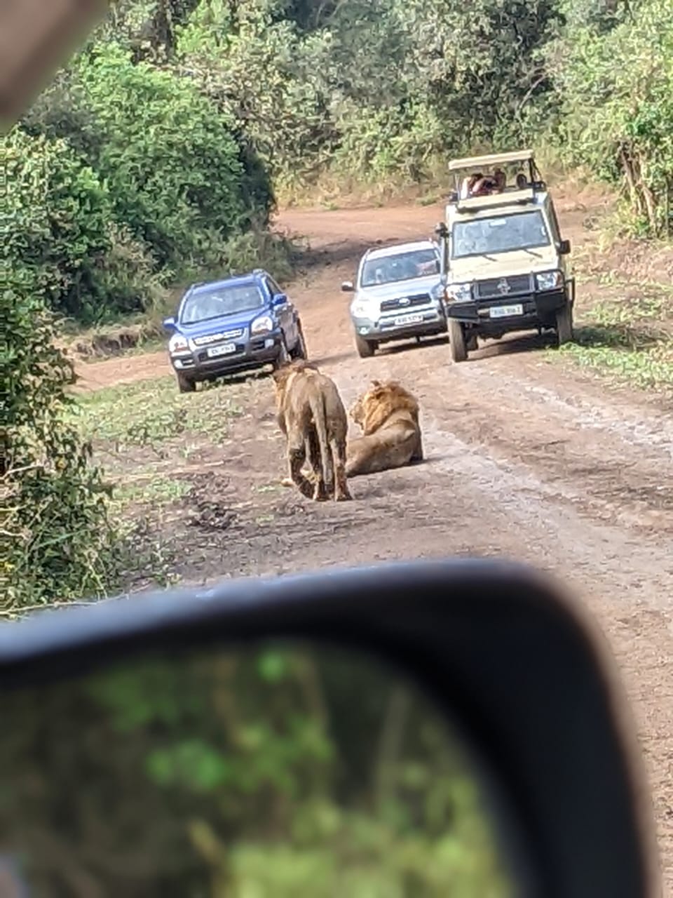Self-Drive 4x4 Car Rental 