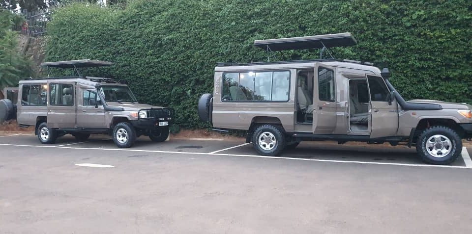 Car hire Rwanda for safari