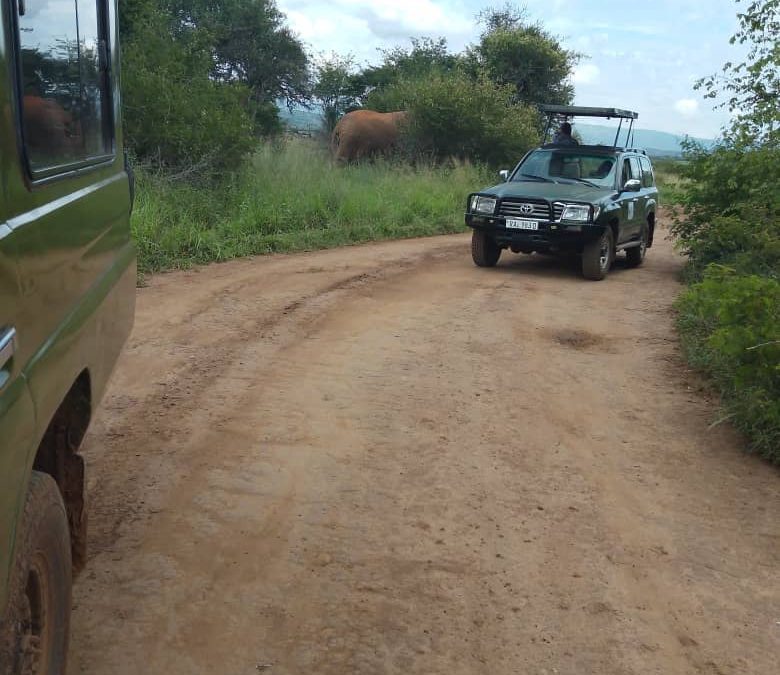 4x4 Car Hire in Rwanda