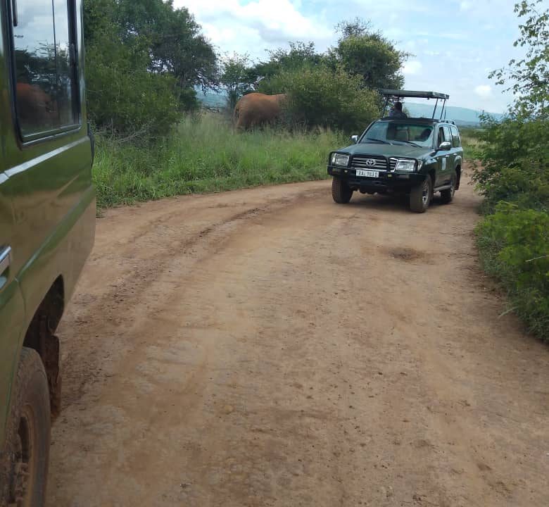 4x4 Car Hire in Rwanda