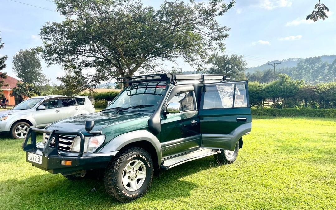 Affordable Self Drive to Nyungwe Rwanda