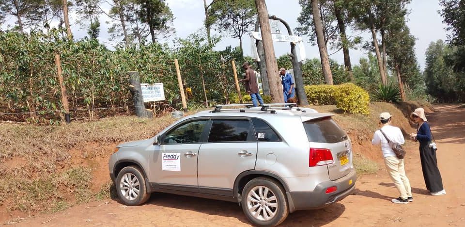 SUV Hire for Nyungwe Forest