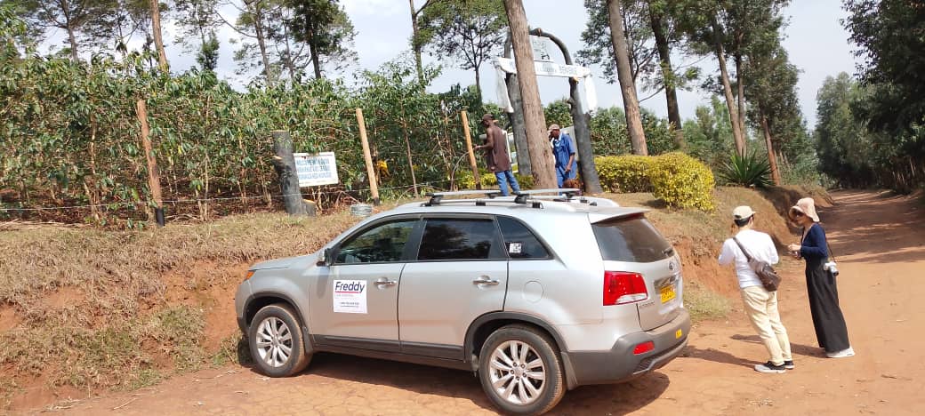 SUV Hire for Nyungwe Forest