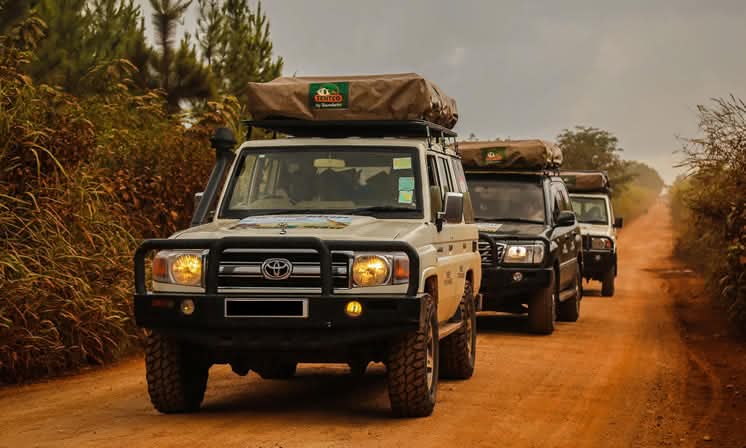 Cross-Border Car Hire Rwanda