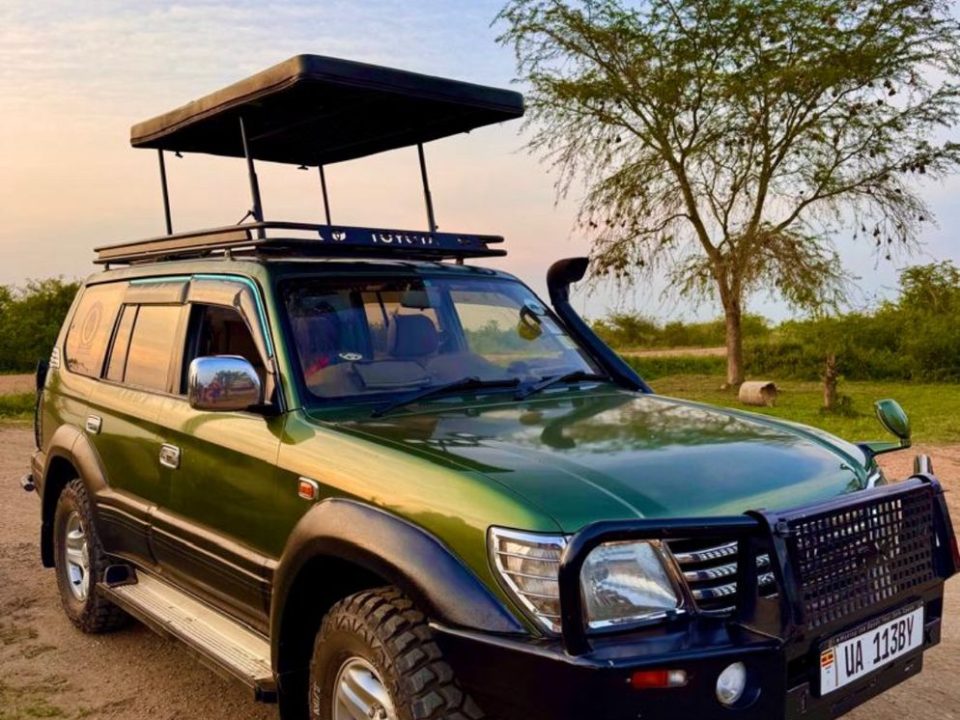 Cross Border Car Rentals Rwanda Uganda