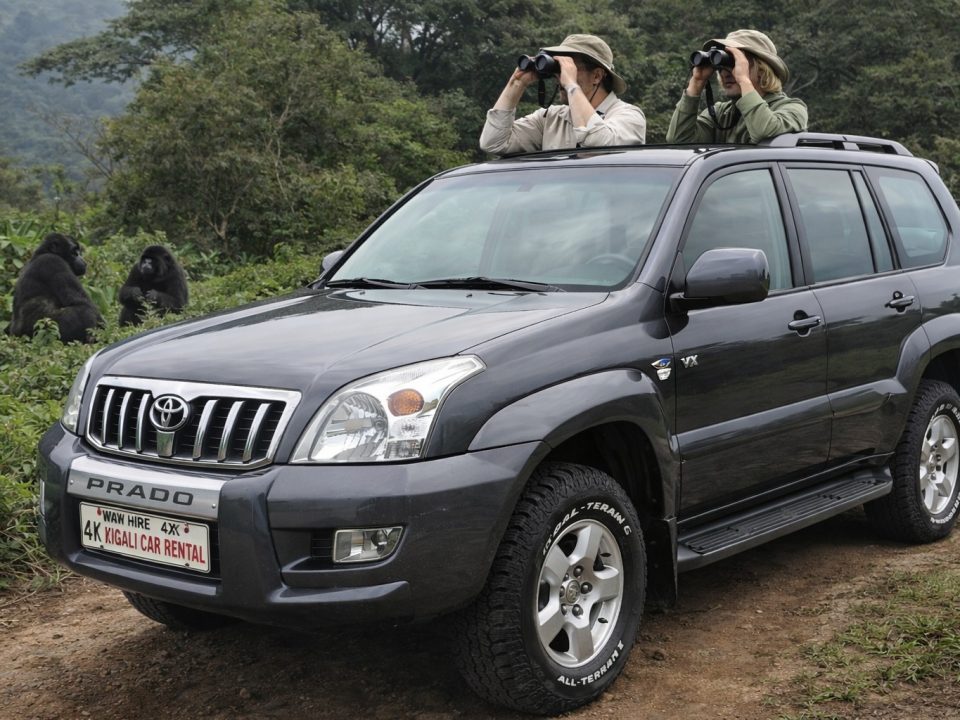 Gorilla Trekking Safari Vehicle