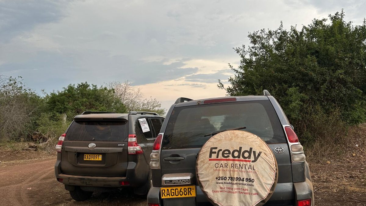 Car Rental for Tourists Rwanda