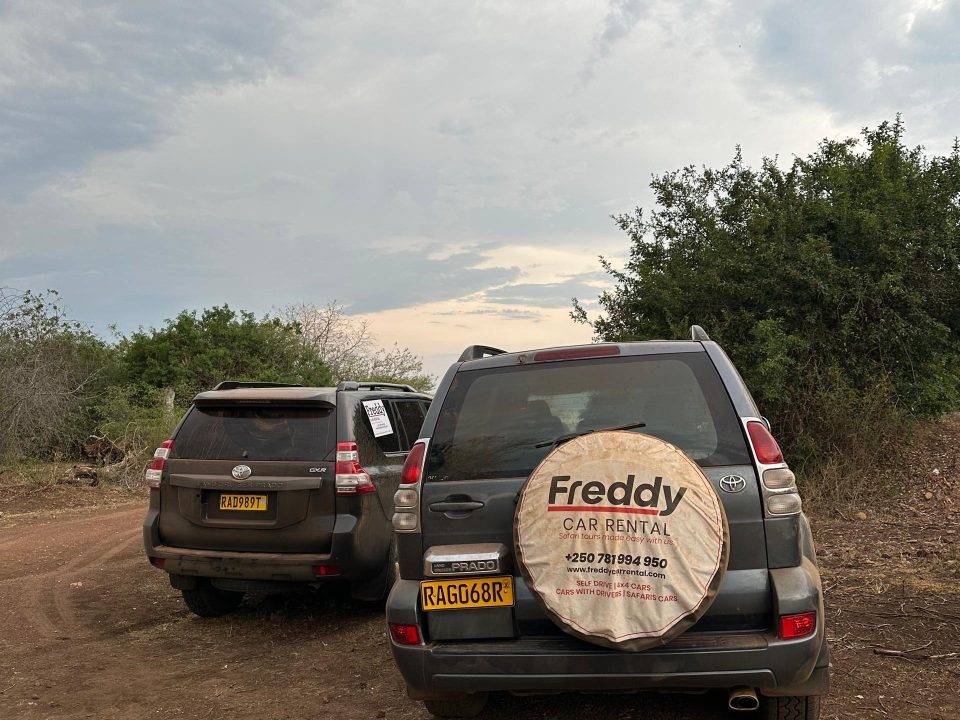 Car Rental for Tourists Rwanda
