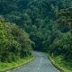 Kigali to Nyungwe self drive
