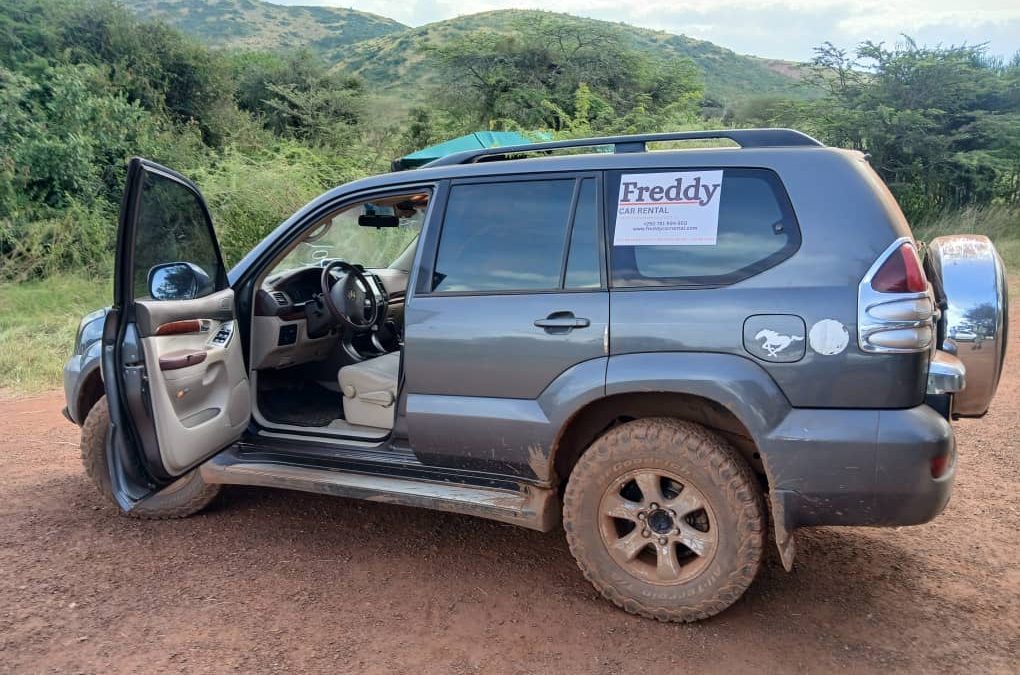 Toyota Land Cruiser 4x4 rental vehicle tracking an elephant herd during a self-drive safari to Akagera National Park Rwanda.
