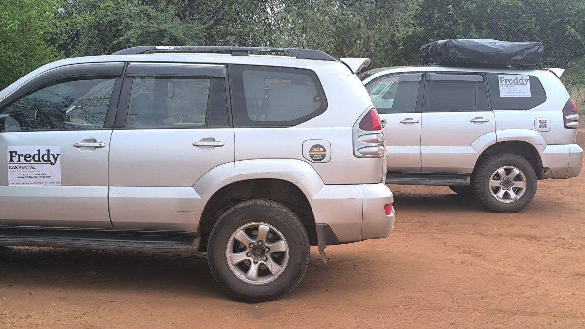 Hire reliable cars in Rwanda with Freddy Car Rental. Choose from self-drive cars, 4x4 SUVs, luxury vehicles, and chauffeur services at affordable rates.