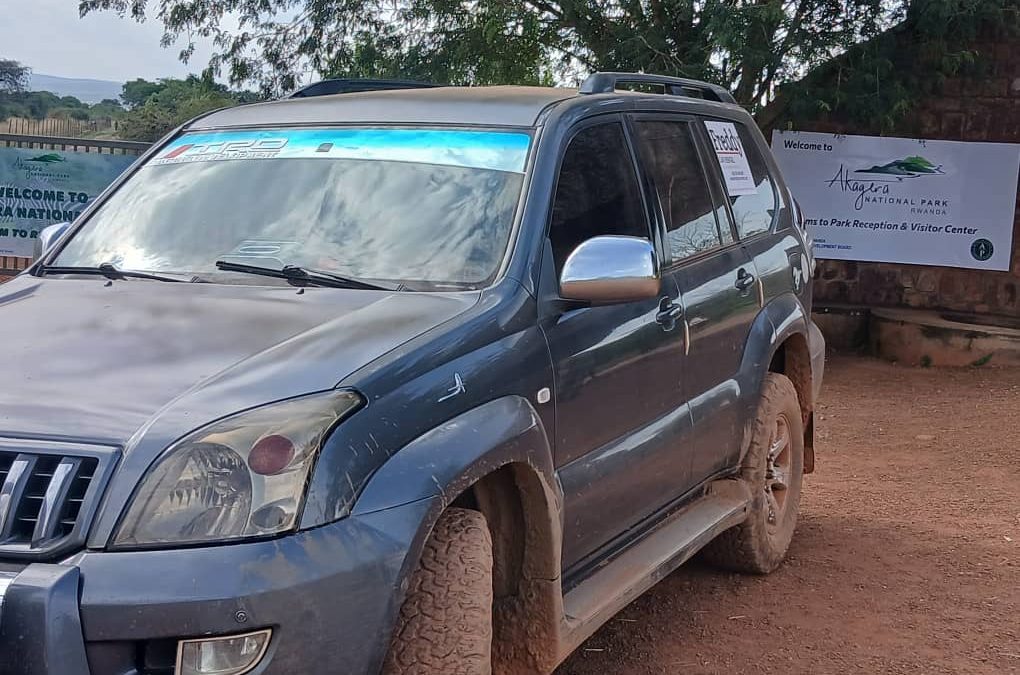Toyota Land Cruiser Prado Rentals Rwanda | Self Drive & Driver