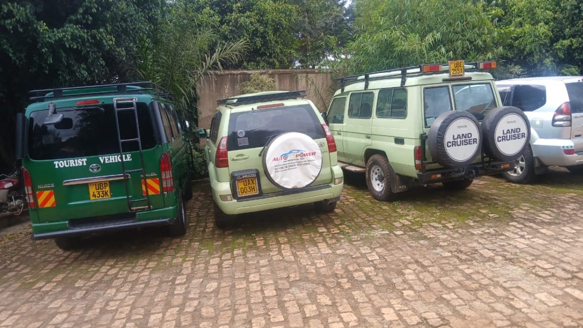 Rent a reliable 4x4 for cross-border travel between Rwanda and Uganda with Freddy Car Rental. Enjoy self-drive or chauffeur services, flexible rentals, border documentation, and affordable rates for gorilla trekking and East African safaris