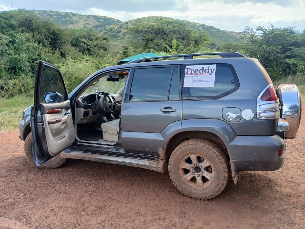 Rent a 4×4 in Rwanda for safari, gorilla trekking and road trips. Choose RAV4, Prado or Land Cruiser for self-drive or driver-guided travel.
