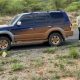 Self-drive Rwanda and Uganda safari with a 4x4 rental